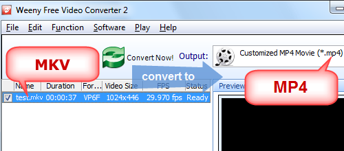 Convert MKV to MP4